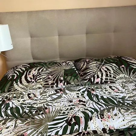 Apartment Przy Parku Centralnym 2 *